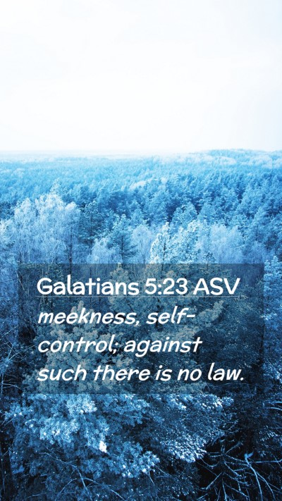 Picture 02 - Galatians 5:23 ASV Mobile Phone Wallpaper - meekness, self-control; against such there is no - Mobile Bible Verse Wallpaper