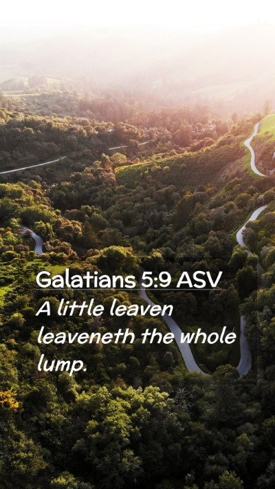 Picture 02 - Galatians 5:9 ASV Mobile Phone Wallpaper - A little leaven leaveneth the whole - Mobile Bible Verse Wallpaper