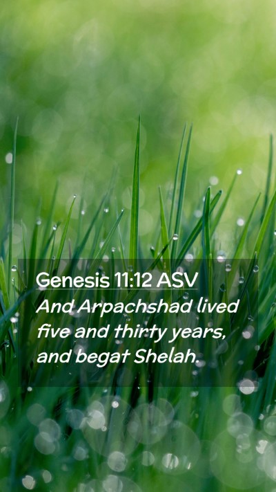 Picture 02 - Genesis 11:12 ASV Mobile Phone Wallpaper - And Arpachshad lived five and thirty years, and - Mobile Bible Verse Wallpaper