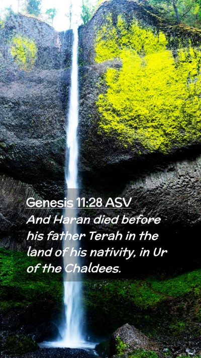 Picture 02 - Genesis 11:28 ASV Mobile Phone Wallpaper - And Haran died before his father Terah in the - Mobile Bible Verse Wallpaper