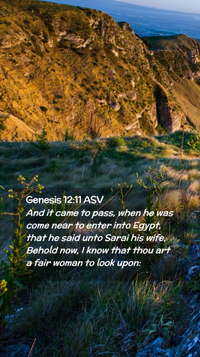 Picture 02 - Genesis 12:11 ASV Mobile Phone Wallpaper - And it came to pass, when he was come near to - Mobile Bible Verse Wallpaper