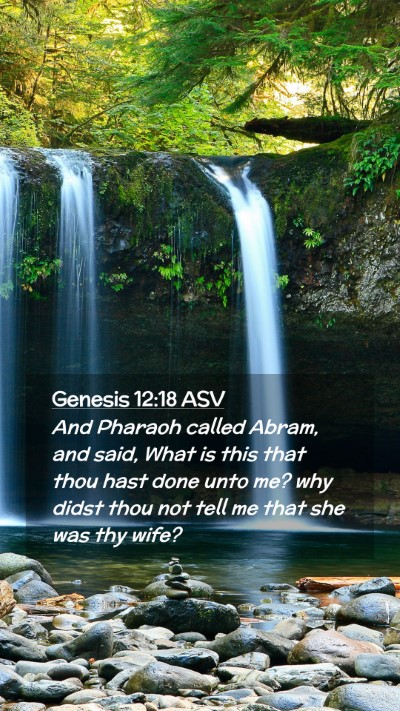 Picture 02 - Genesis 12:18 ASV Mobile Phone Wallpaper - And Pharaoh called Abram, and said, What is this - Mobile Bible Verse Wallpaper