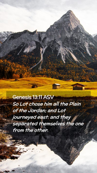 Picture 02 - Genesis 13:11 ASV Mobile Phone Wallpaper - So Lot chose him all the Plain of the Jordan; and - Mobile Bible Verse Wallpaper