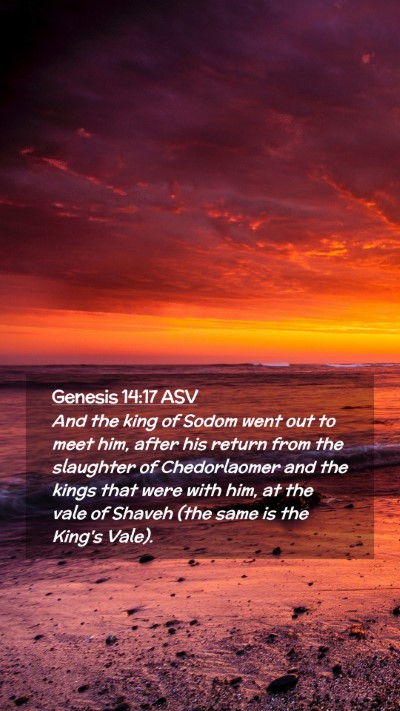 Picture 02 - Genesis 14:17 ASV Mobile Phone Wallpaper - And the king of Sodom went out to meet him, after - Mobile Bible Verse Wallpaper
