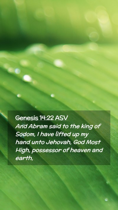 Picture 02 - Genesis 14:22 ASV Mobile Phone Wallpaper - And Abram said to the king of Sodom, I have - Mobile Bible Verse Wallpaper