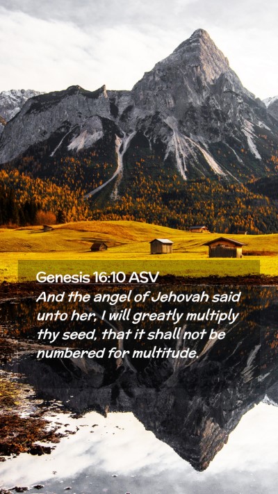 Picture 02 - Genesis 16:10 ASV Mobile Phone Wallpaper - And the angel of Jehovah said unto her, I will - Mobile Bible Verse Wallpaper