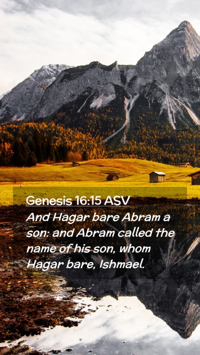 Picture 02 - Genesis 16:15 ASV Mobile Phone Wallpaper - And Hagar bare Abram a son: and Abram called the - Mobile Bible Verse Wallpaper