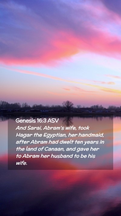 Picture 02 - Genesis 16:3 ASV Mobile Phone Wallpaper - And Sarai, Abram's wife, took Hagar the Egyptian, - Mobile Bible Verse Wallpaper