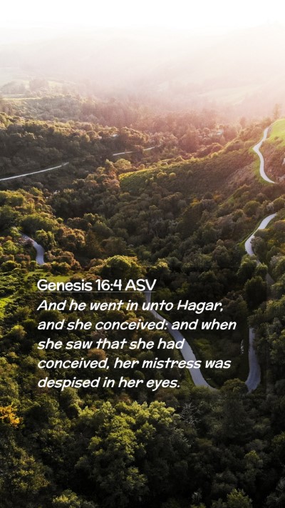 Picture 02 - Genesis 16:4 ASV Mobile Phone Wallpaper - And he went in unto Hagar, and she conceived: and - Mobile Bible Verse Wallpaper