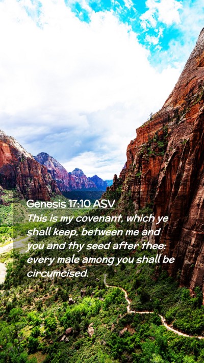 Picture 02 - Genesis 17:10 ASV Mobile Phone Wallpaper - This is my covenant, which ye shall keep, between - Mobile Bible Verse Wallpaper