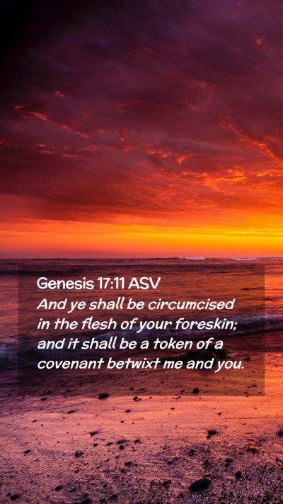 Picture 02 - Genesis 17:11 ASV Mobile Phone Wallpaper - And ye shall be circumcised in the flesh of your - Mobile Bible Verse Wallpaper