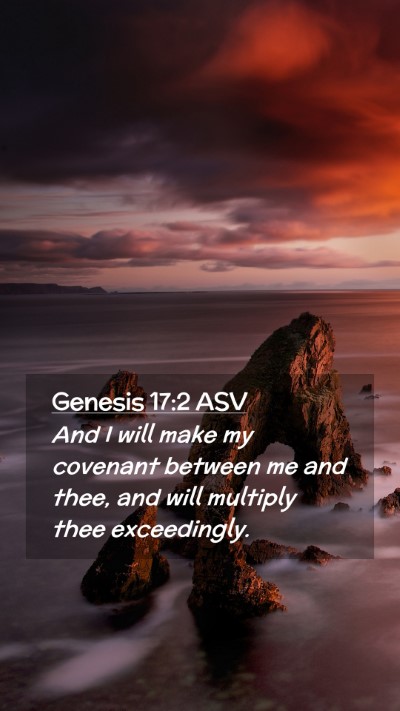 Picture 02 - Genesis 17:2 ASV Mobile Phone Wallpaper - And I will make my covenant between me and thee, - Mobile Bible Verse Wallpaper