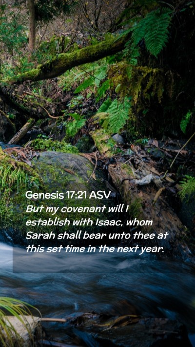 Picture 02 - Genesis 17:21 ASV Mobile Phone Wallpaper - But my covenant will I establish with Isaac, whom - Mobile Bible Verse Wallpaper