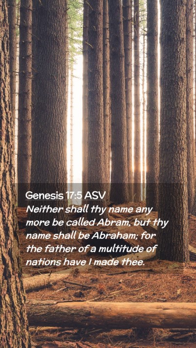 Picture 02 - Genesis 17:5 ASV Mobile Phone Wallpaper - Neither shall thy name any more be called Abram, - Mobile Bible Verse Wallpaper