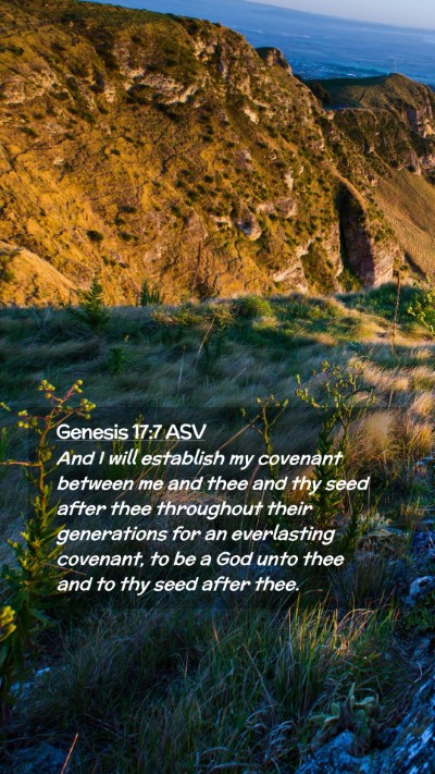 Picture 02 - Genesis 17:7 ASV Mobile Phone Wallpaper - And I will establish my covenant between me and - Mobile Bible Verse Wallpaper