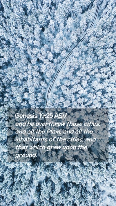 Picture 02 - Genesis 19:25 ASV Mobile Phone Wallpaper - and he overthrew those cities, and all the Plain, - Mobile Bible Verse Wallpaper