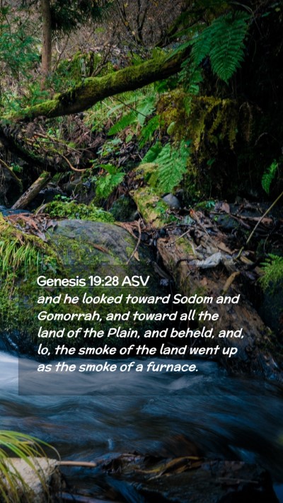 Picture 02 - Genesis 19:28 ASV Mobile Phone Wallpaper - and he looked toward Sodom and Gomorrah, and - Mobile Bible Verse Wallpaper