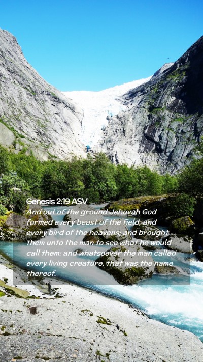 Picture 02 - Genesis 2:19 ASV Mobile Phone Wallpaper - And out of the ground Jehovah God formed every - Mobile Bible Verse Wallpaper