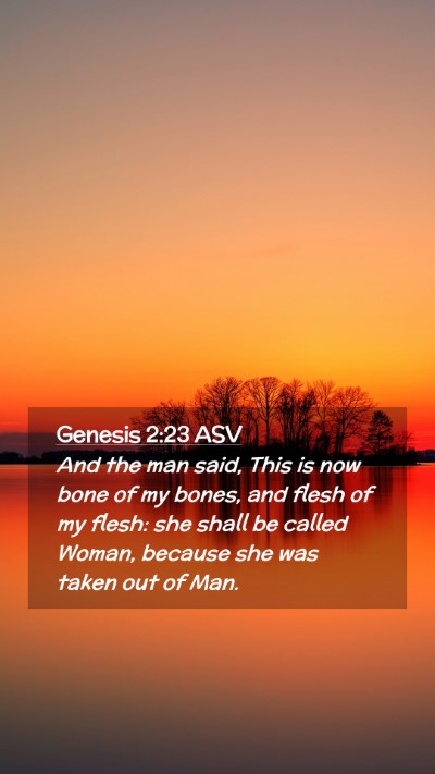 Picture 02 - Genesis 2:23 ASV Mobile Phone Wallpaper - And the man said, This is now bone of my bones, - Mobile Bible Verse Wallpaper