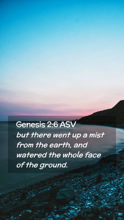 Picture 02 - Genesis 2:6 ASV Mobile Phone Wallpaper - but there went up a mist from the earth, and - Mobile Bible Verse Wallpaper