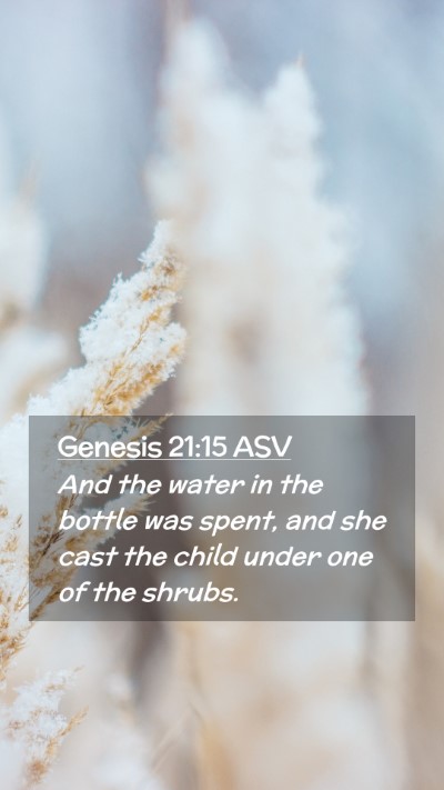 Picture 02 - Genesis 21:15 ASV Mobile Phone Wallpaper - And the water in the bottle was spent, and she - Mobile Bible Verse Wallpaper