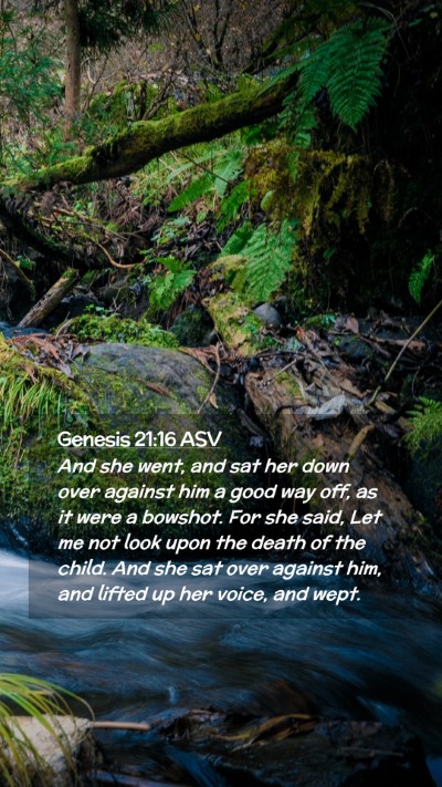 Picture 02 - Genesis 21:16 ASV Mobile Phone Wallpaper - And she went, and sat her down over against him a - Mobile Bible Verse Wallpaper