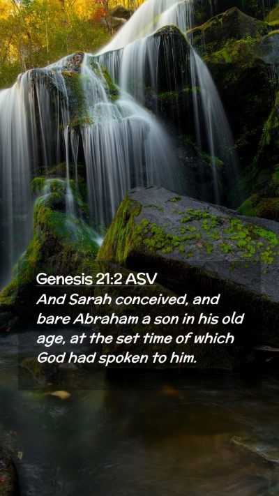 Picture 02 - Genesis 21:2 ASV Mobile Phone Wallpaper - And Sarah conceived, and bare Abraham a son in - Mobile Bible Verse Wallpaper