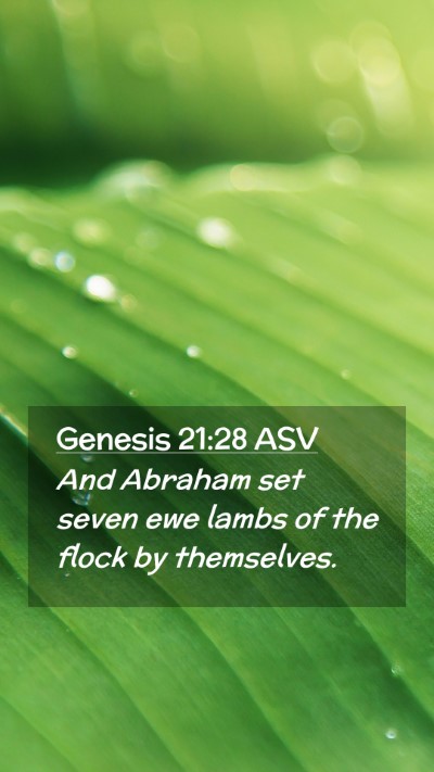 Picture 02 - Genesis 21:28 ASV Mobile Phone Wallpaper - And Abraham set seven ewe lambs of the flock by - Mobile Bible Verse Wallpaper