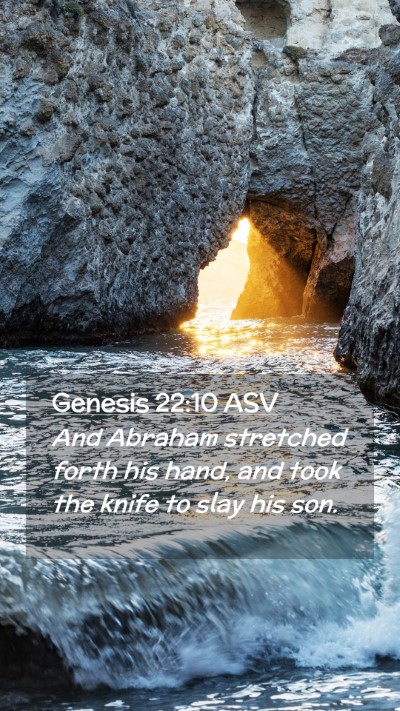 Picture 02 - Genesis 22:10 ASV Mobile Phone Wallpaper - And Abraham stretched forth his hand, and took - Mobile Bible Verse Wallpaper