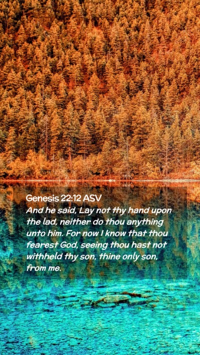 Picture 02 - Genesis 22:12 ASV Mobile Phone Wallpaper - And he said, Lay not thy hand upon the lad, - Mobile Bible Verse Wallpaper