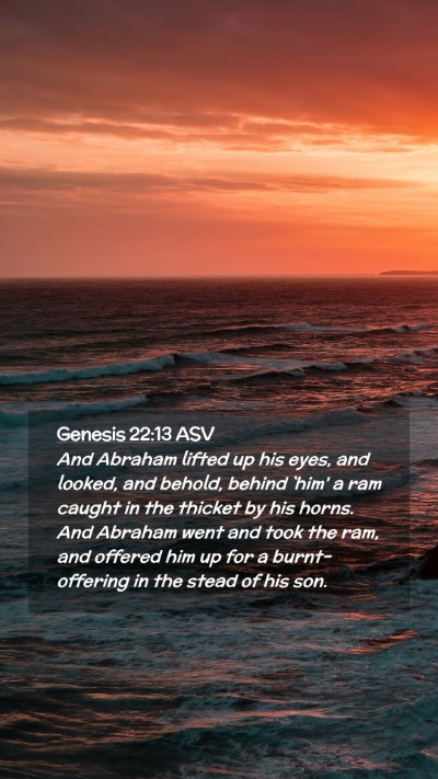 Picture 02 - Genesis 22:13 ASV Mobile Phone Wallpaper - And Abraham lifted up his eyes, and looked, and - Mobile Bible Verse Wallpaper