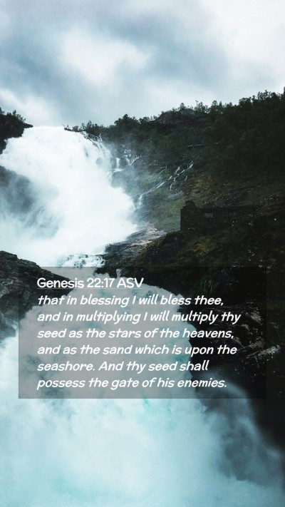 Picture 02 - Genesis 22:17 ASV Mobile Phone Wallpaper - that in blessing I will bless thee, and in - Mobile Bible Verse Wallpaper