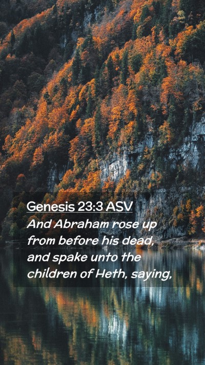 Picture 02 - Genesis 23:3 ASV Mobile Phone Wallpaper - And Abraham rose up from before his dead, and - Mobile Bible Verse Wallpaper