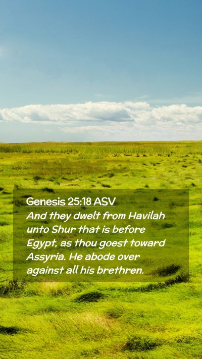 Picture 02 - Genesis 25:18 ASV Mobile Phone Wallpaper - And they dwelt from Havilah unto Shur that is - Mobile Bible Verse Wallpaper