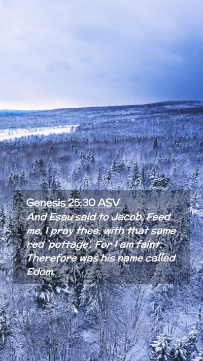 Picture 02 - Genesis 25:30 ASV Mobile Phone Wallpaper - And Esau said to Jacob, Feed me, I pray thee, - Mobile Bible Verse Wallpaper