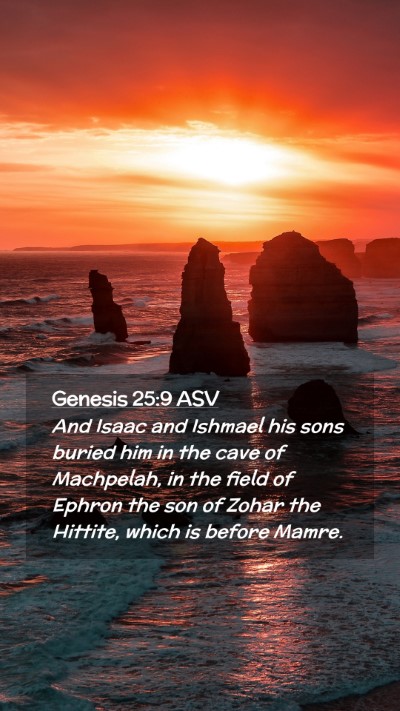Picture 02 - Genesis 25:9 ASV Mobile Phone Wallpaper - And Isaac and Ishmael his sons buried him in the - Mobile Bible Verse Wallpaper