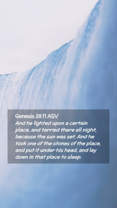 Picture 02 - Genesis 28:11 ASV Mobile Phone Wallpaper - And he lighted upon a certain place, and tarried - Mobile Bible Verse Wallpaper