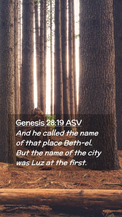 Picture 02 - Genesis 28:19 ASV Mobile Phone Wallpaper - And he called the name of that place Beth-el. But - Mobile Bible Verse Wallpaper