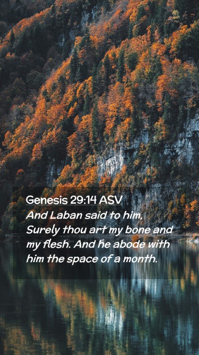 Picture 02 - Genesis 29:14 ASV Mobile Phone Wallpaper - And Laban said to him, Surely thou art my bone - Mobile Bible Verse Wallpaper