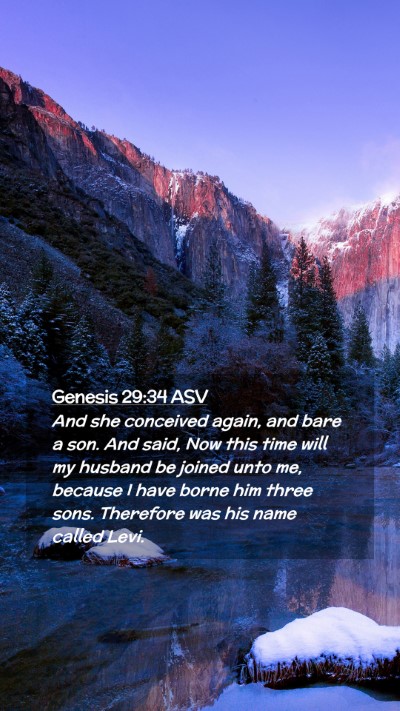 Picture 02 - Genesis 29:34 ASV Mobile Phone Wallpaper - And she conceived again, and bare a son. And - Mobile Bible Verse Wallpaper