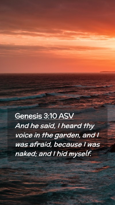 Picture 02 - Genesis 3:10 ASV Mobile Phone Wallpaper - And he said, I heard thy voice in the garden, and - Mobile Bible Verse Wallpaper