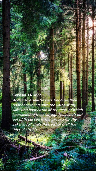 Picture 02 - Genesis 3:17 ASV Mobile Phone Wallpaper - And unto Adam he said, Because thou hast - Mobile Bible Verse Wallpaper