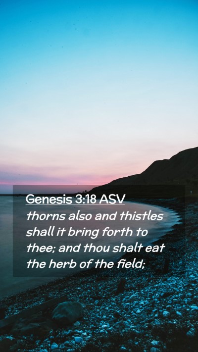 Picture 02 - Genesis 3:18 ASV Mobile Phone Wallpaper - thorns also and thistles shall it bring forth to - Mobile Bible Verse Wallpaper