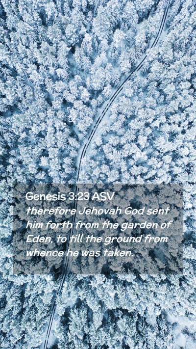 Picture 02 - Genesis 3:23 ASV Mobile Phone Wallpaper - therefore Jehovah God sent him forth from the - Mobile Bible Verse Wallpaper