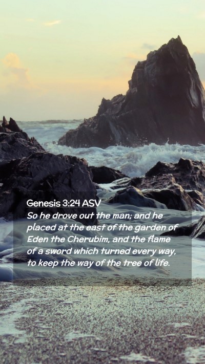 Picture 02 - Genesis 3:24 ASV Mobile Phone Wallpaper - So he drove out the man; and he placed at the - Mobile Bible Verse Wallpaper