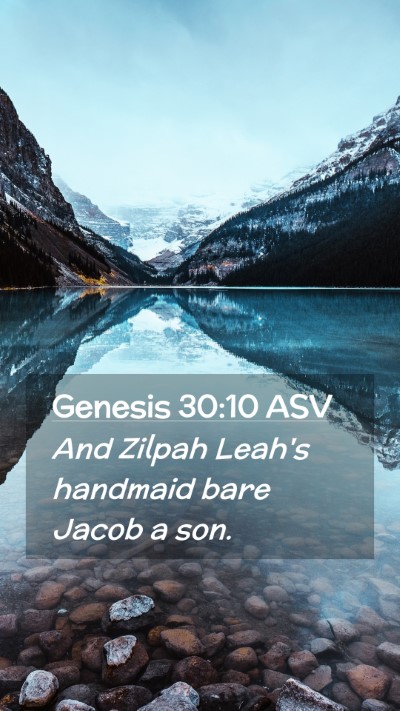 Picture 02 - Genesis 30:10 ASV Mobile Phone Wallpaper - And Zilpah Leah's handmaid bare Jacob a - Mobile Bible Verse Wallpaper