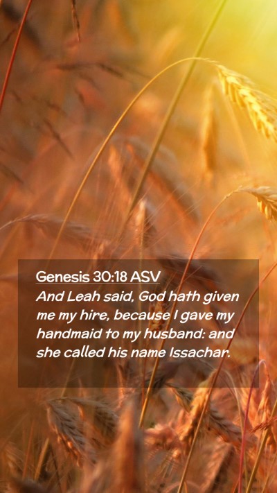 Picture 02 - Genesis 30:18 ASV Mobile Phone Wallpaper - And Leah said, God hath given me my hire, because - Mobile Bible Verse Wallpaper