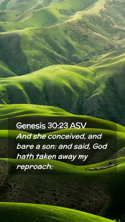 Picture 02 - Genesis 30:23 ASV Mobile Phone Wallpaper - And she conceived, and bare a son: and said, God - Mobile Bible Verse Wallpaper