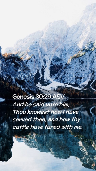 Picture 02 - Genesis 30:29 ASV Mobile Phone Wallpaper - And he said unto him, Thou knowest how I have - Mobile Bible Verse Wallpaper