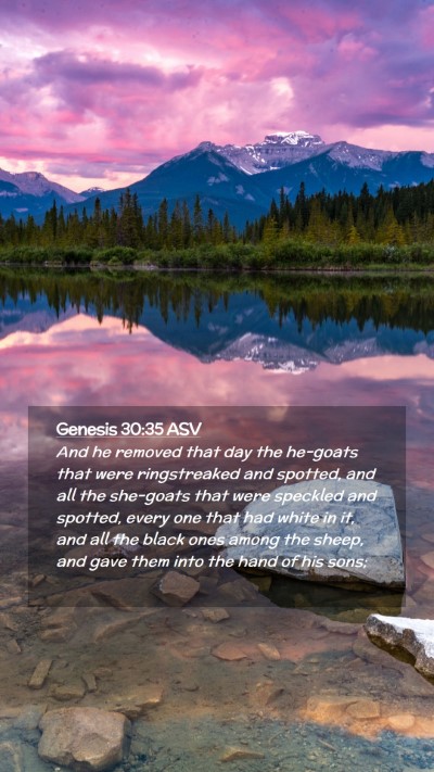 Picture 02 - Genesis 30:35 ASV Mobile Phone Wallpaper - And he removed that day the he-goats that were - Mobile Bible Verse Wallpaper